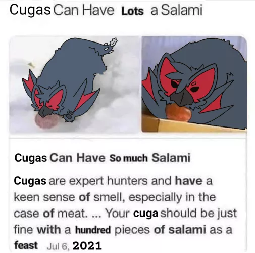 Cugas can have LOTS of salami.. (By @RuiOnRollers) by Used_Dimension1555