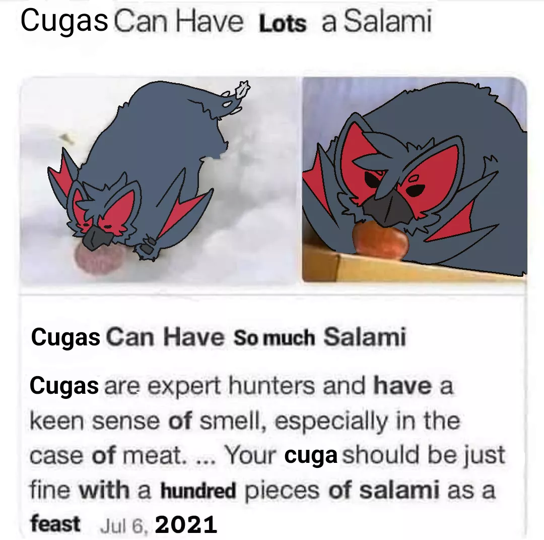 Cugas can have LOTS of salami.. (By @RuiOnRollers) posted by Used_Dimension1555
