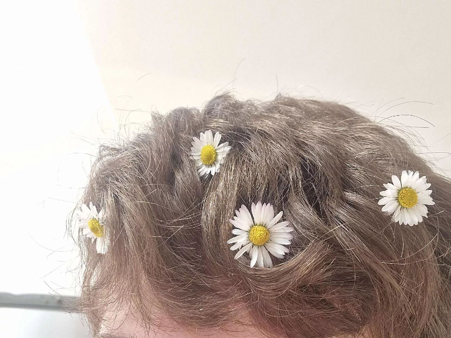 Felt cute so I picked some daisies from my back garden and put them in my hair aaaaa posted by joethecatboy