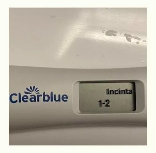 Finaloy! by Usual_Article_8720