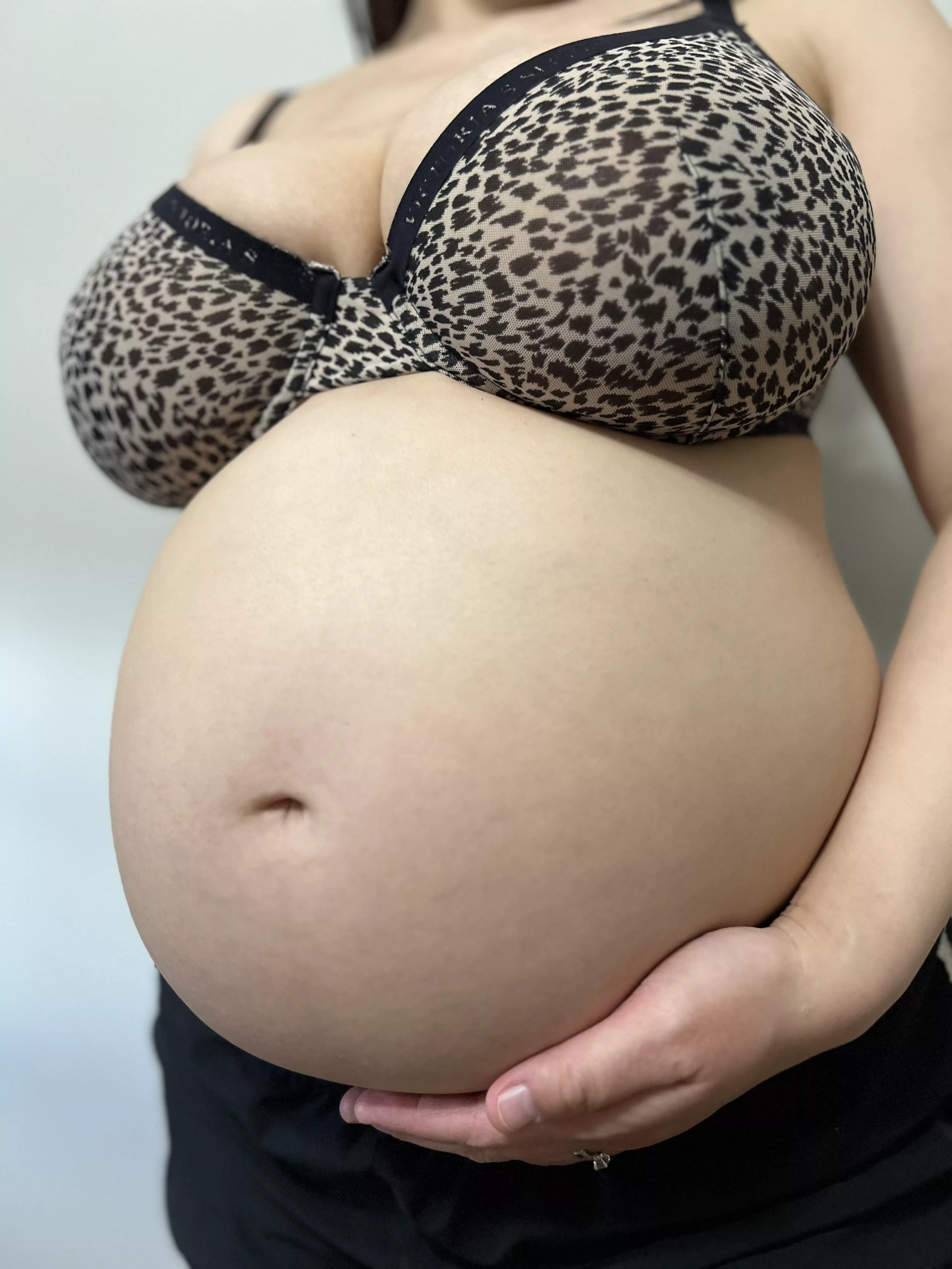 Getting bigger  posted by MidwestAsianWife