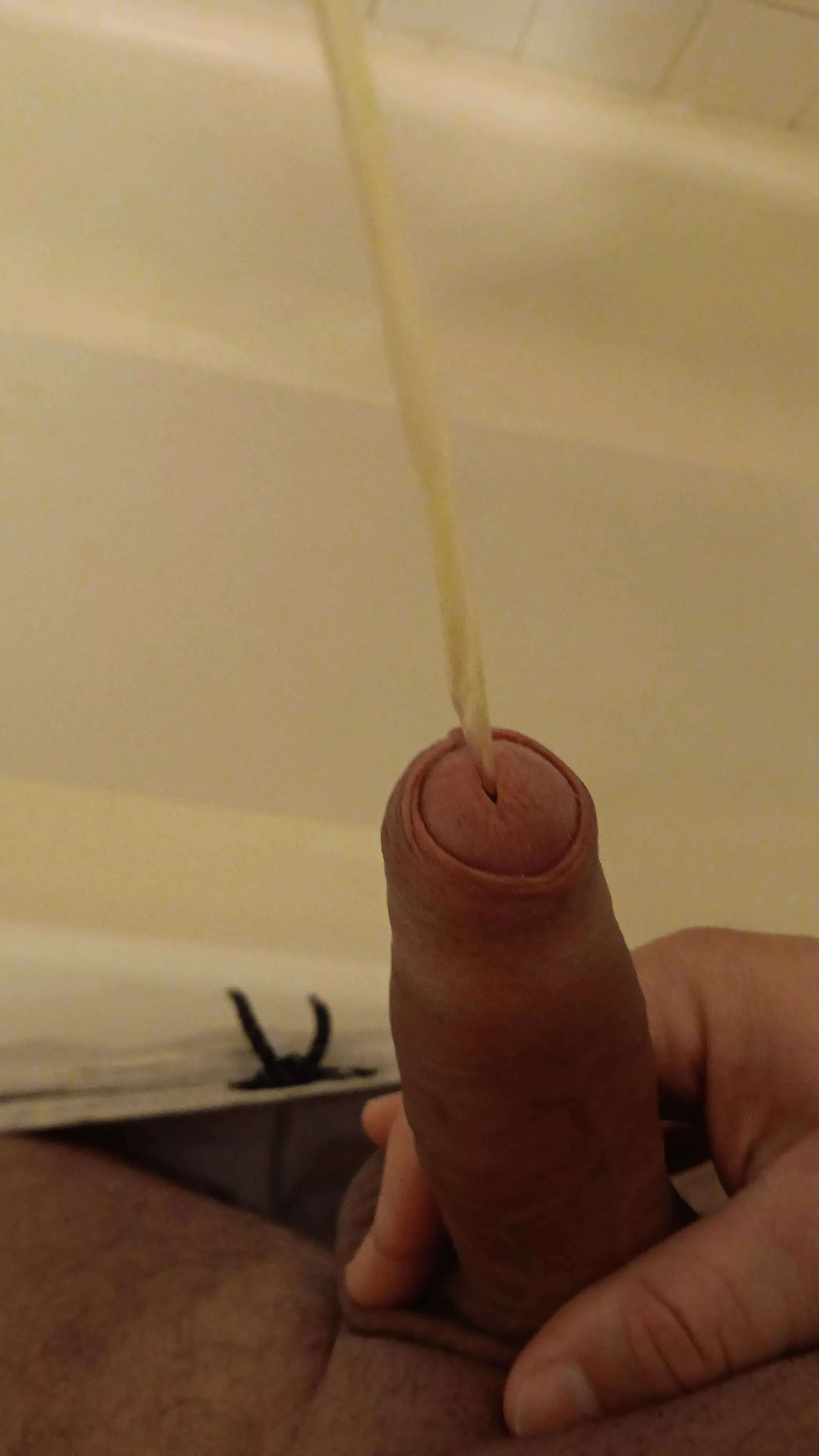 Good morning posted by Aggressive-Dish-3852