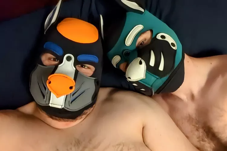 Happy National Pet Day from these pups! by ctstmf