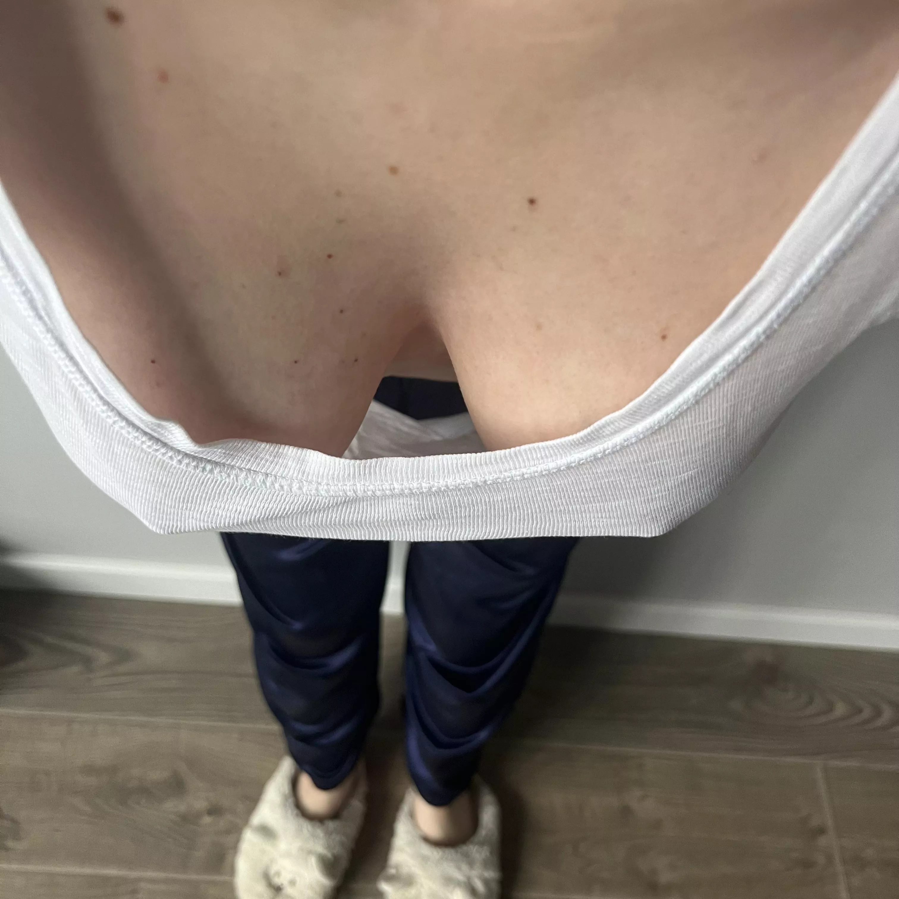 Hello  posted by Tixero