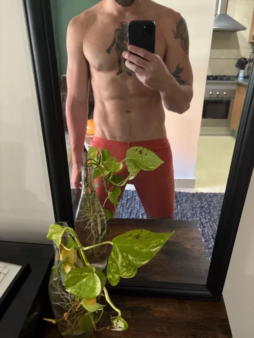 Hello out there by macflaudy