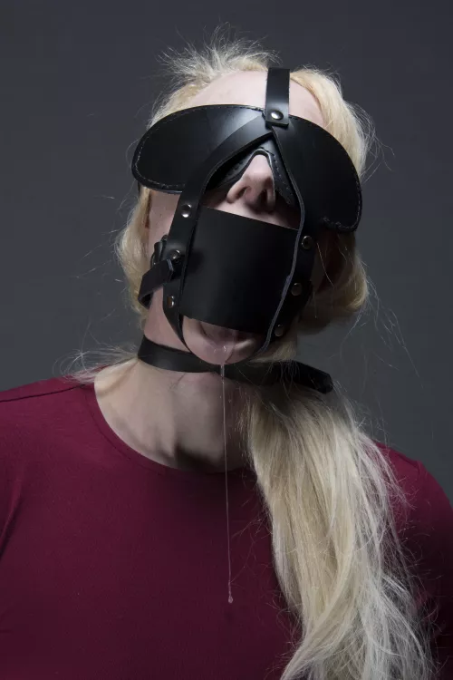 How do you feel abut panel gags? by yourboundwife