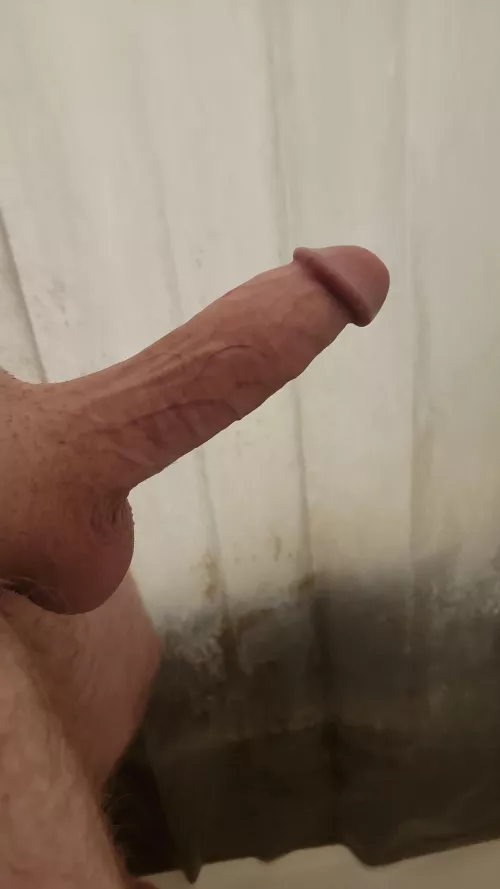 I'm so hard right now by bifarmingdaddy