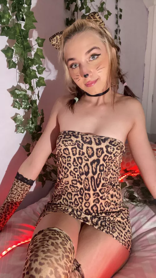 I'm the cutest kitten by b4by_bunny