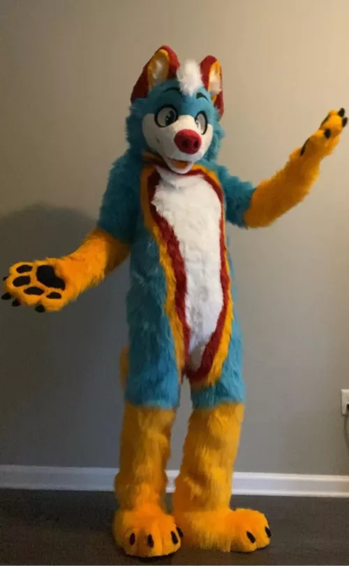 My new fursuit arrived today! His name is Maverick! Would you hug him? by FluffyHusky88