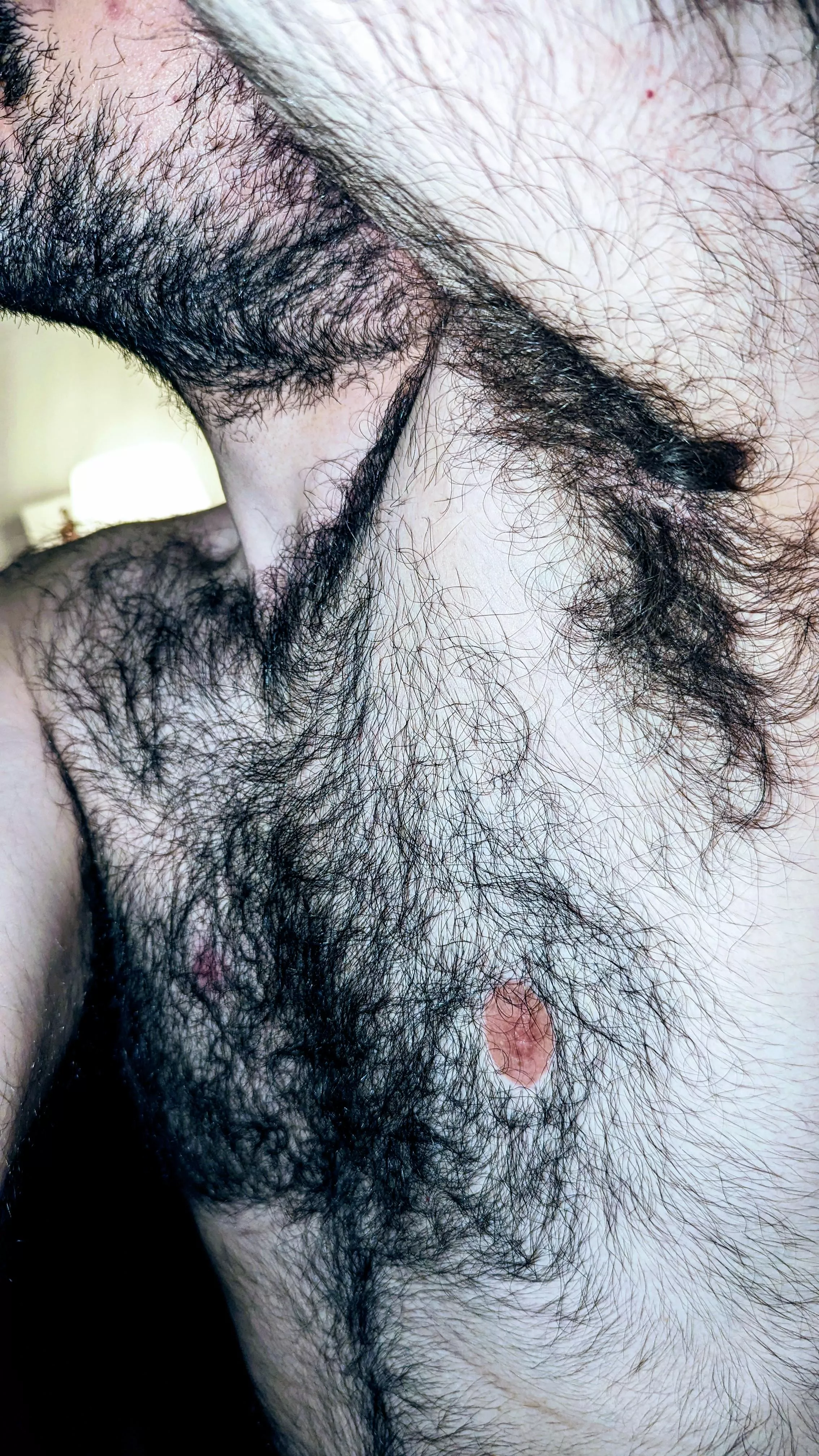 (Not) Extraordin-hairy posted by Anxious_Ananas_643