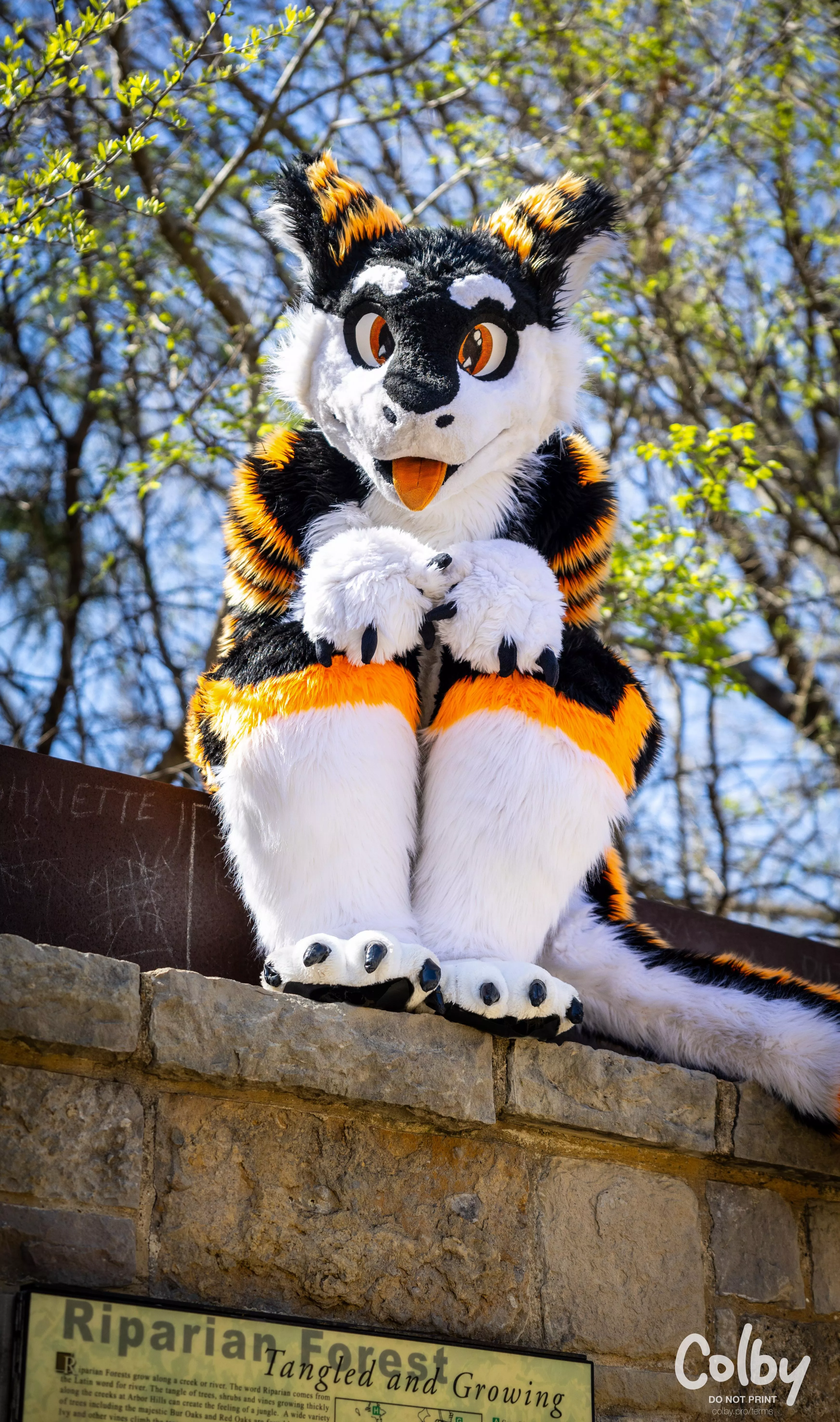 Pay no attention to the perched cheese :> #FursuitFriday  posted by SilySox