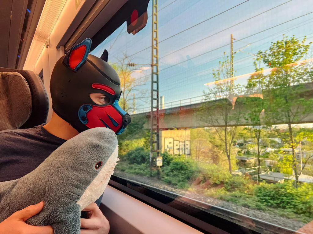 Sharky on Rails 🦈 posted by PupFlink