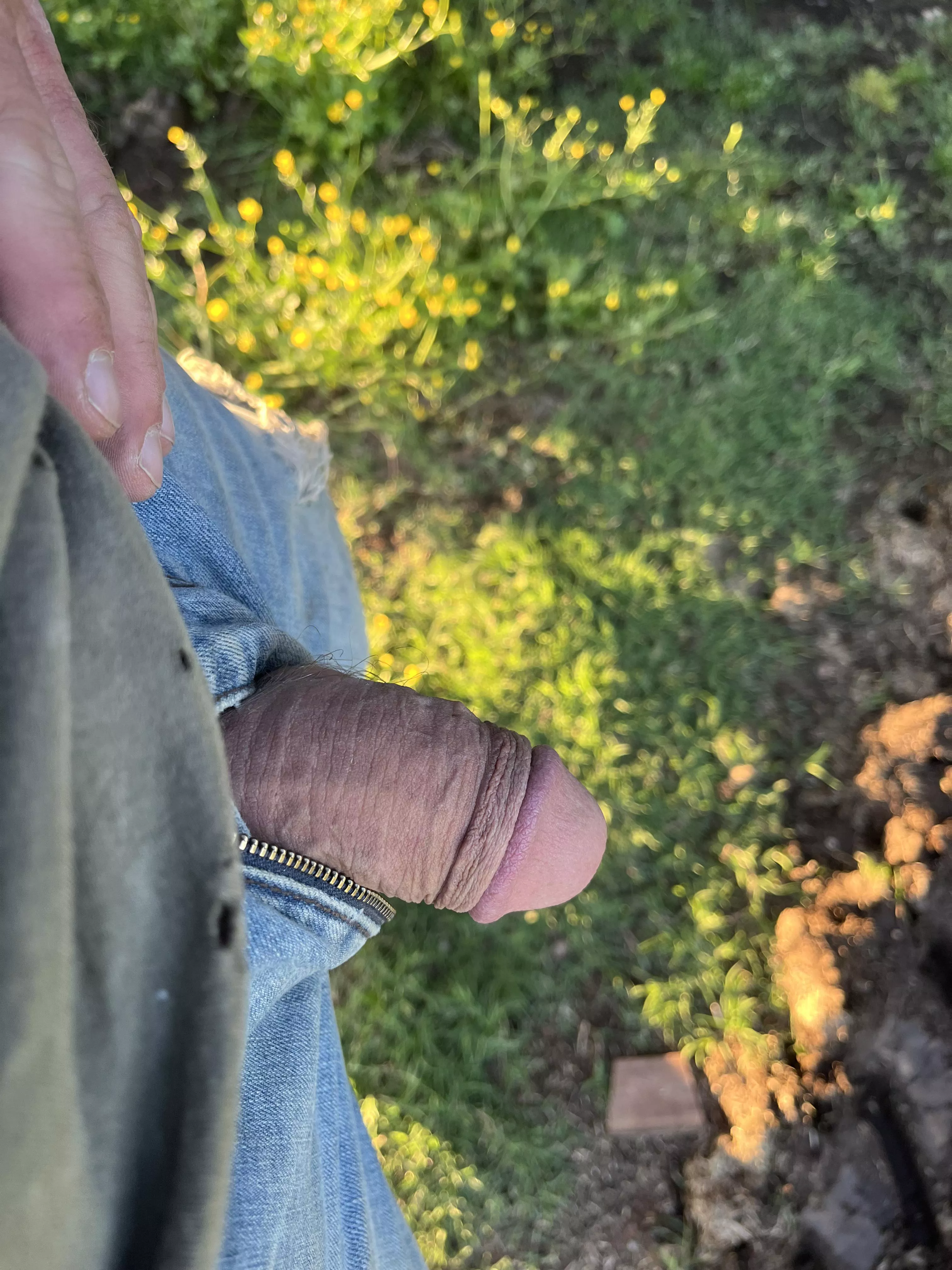 Soft posted by TWC4u24