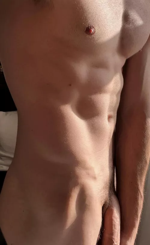 Sunlight hit perfectly by windsofwinte