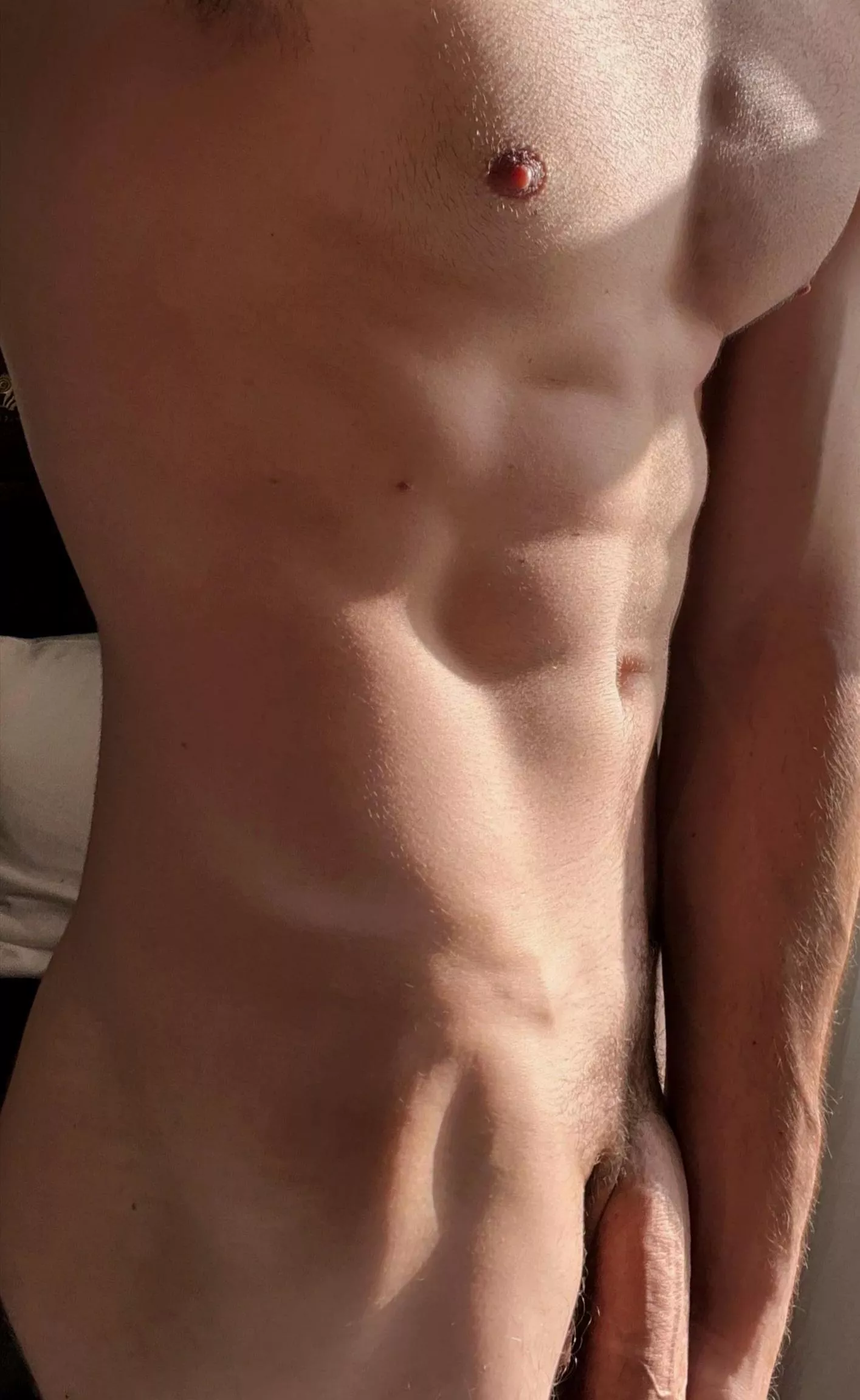 Sunlight hit perfectly posted by windsofwinte