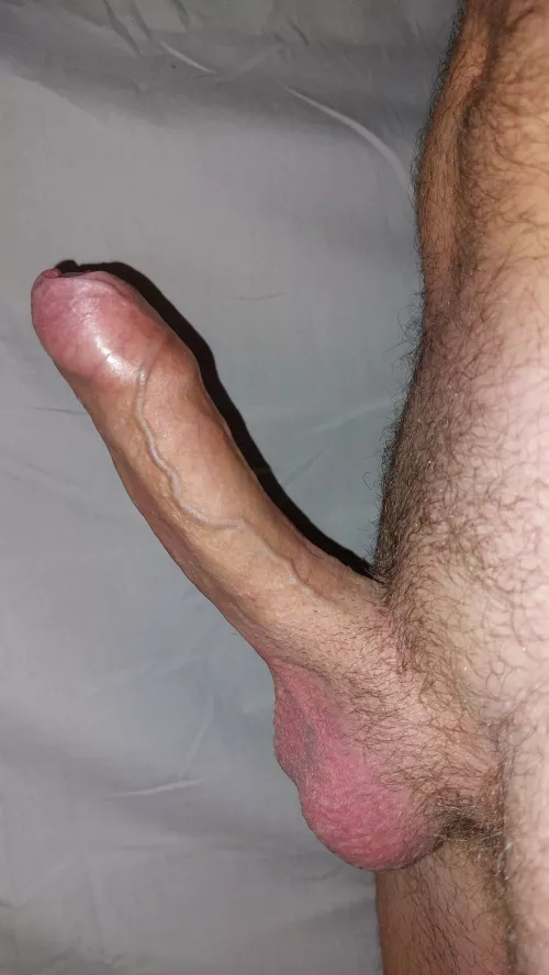 TGIF, wonder who else will be pantsless in my last zoom meeting of the day by fandango8734