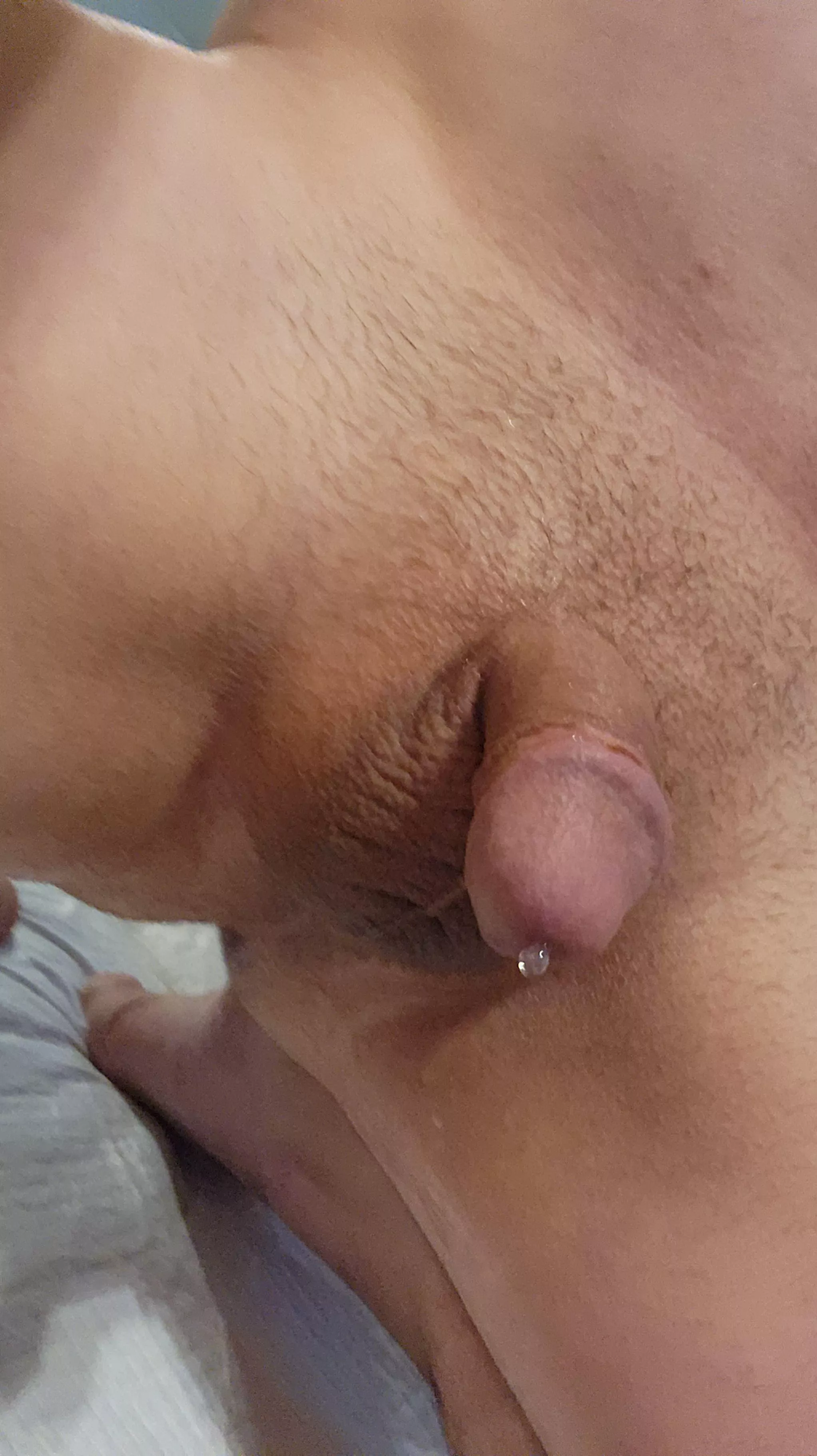 Tiny posted by Fantasytime03