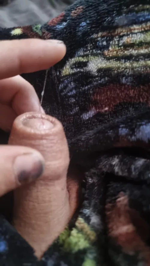 Wish I leaked as much as some of you legends  by WhiteWhale5792