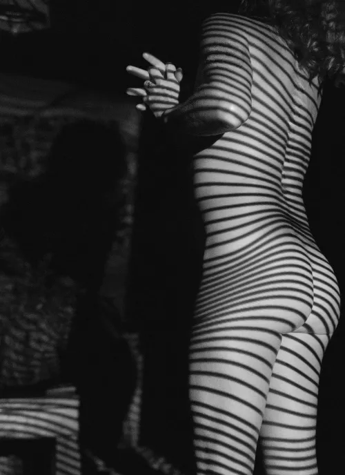 Zebra stripes by throwingitawaybwc