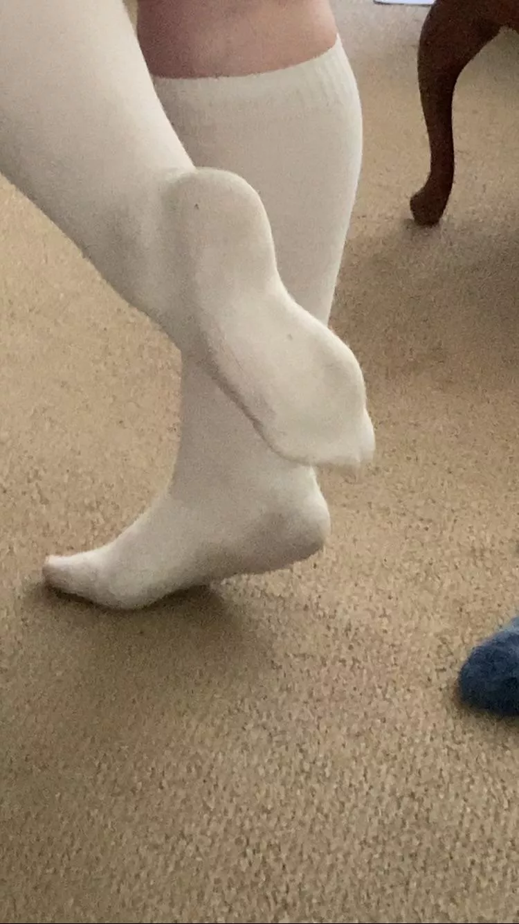 21 F , full day of wear. posted by lemonslace