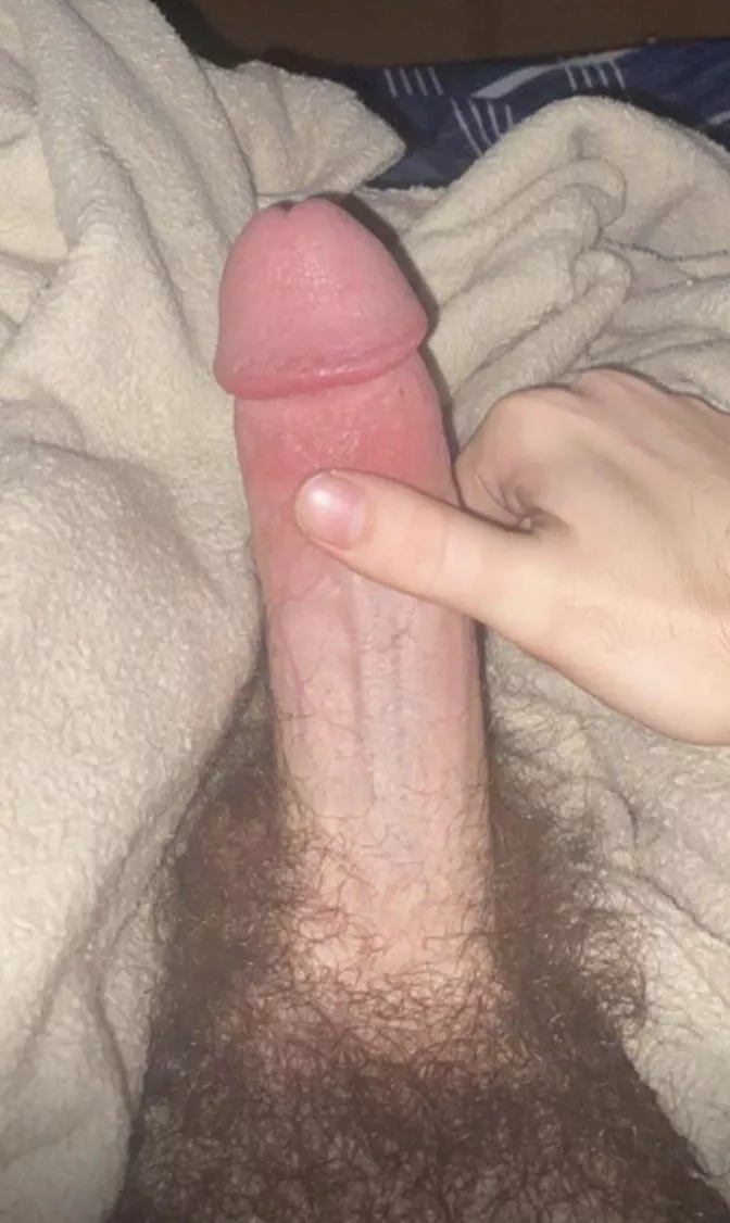22 morning wood hmu posted by TheseProfessional156