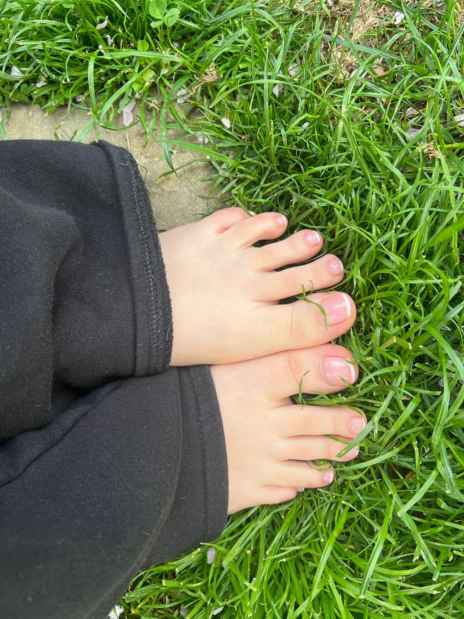 Can I shove these pretty french pedichure toes in your mouth ?🥰 posted by tealadylaine8a