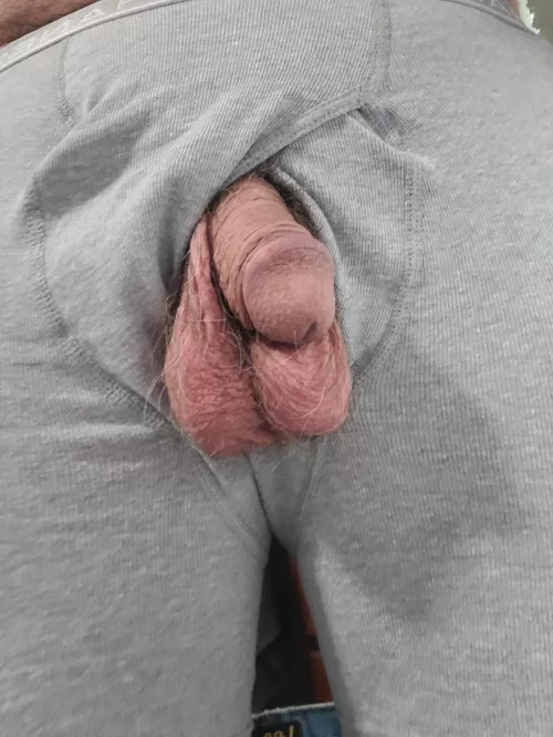 Couldn't resist pulling him out for a pic by poppajcg