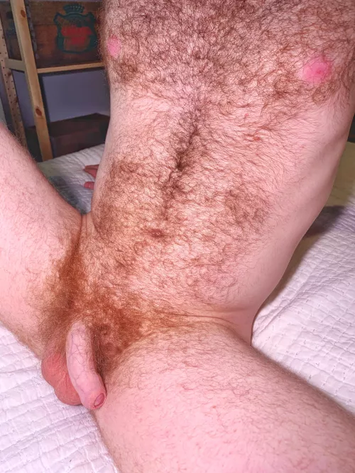 Ginger fur 🔥 by Thenatureboys77