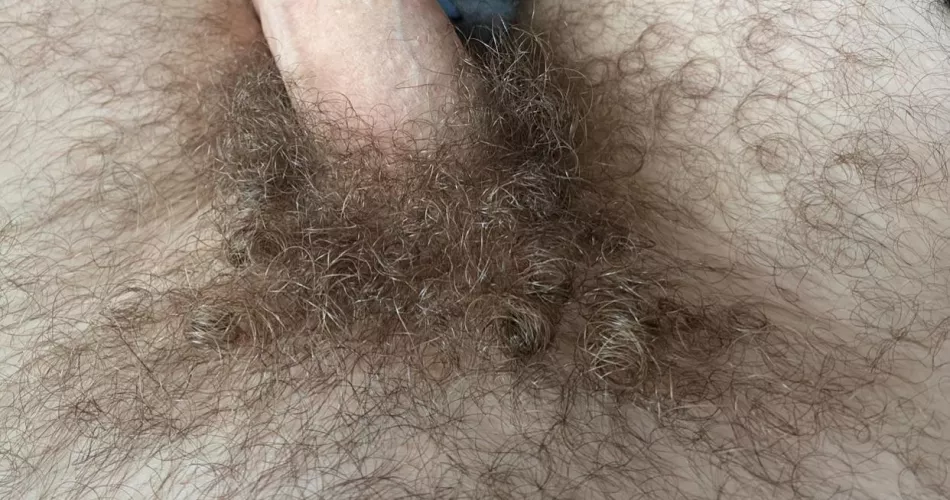 Hairy middle eastern curly pubes by artpop17