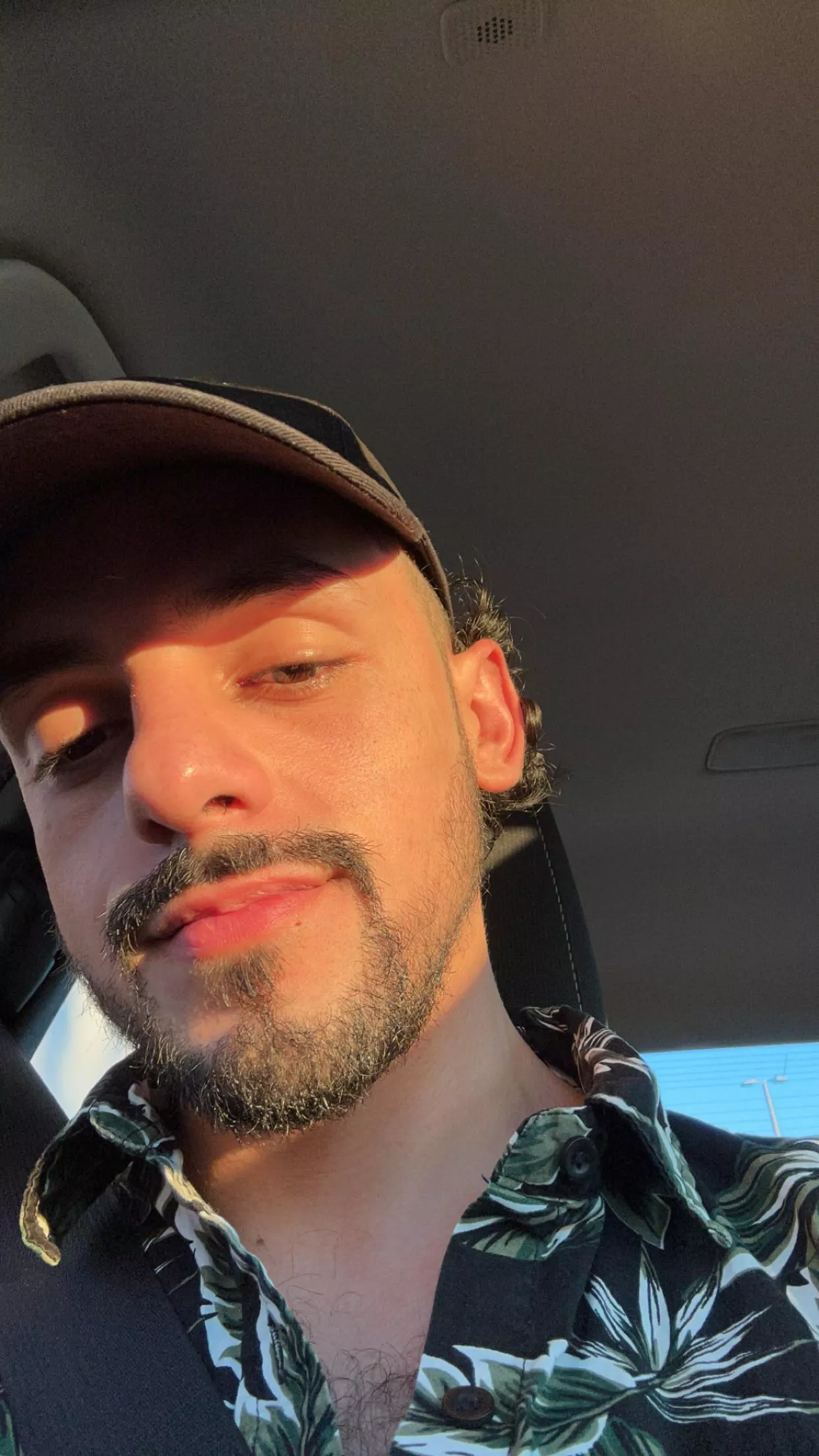 I think I’ll go lay out for a bit posted by Saged4