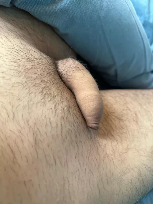 It get bigger, I swear 😅 by Reasonable_Ant6293