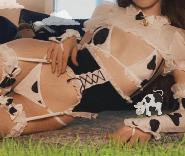 Mooo! by Kabbie_Patty