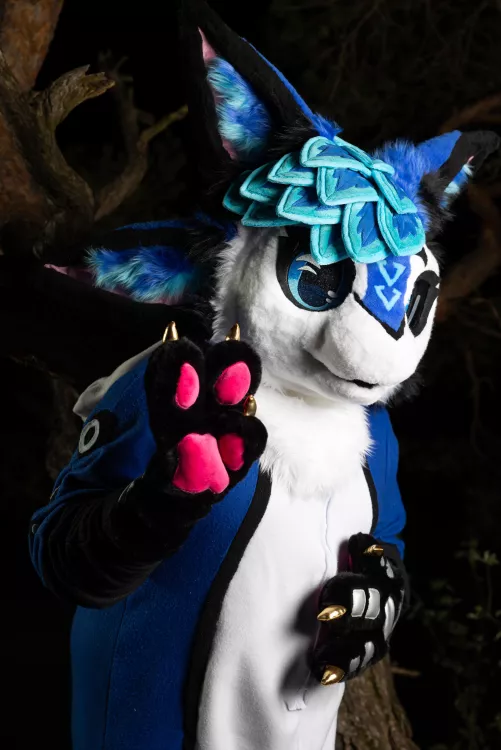 My first fursuitfriday~💙 by Sylviblue