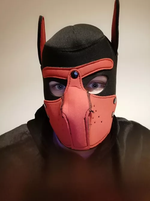 My first Puppy pic 🤭  by HonzaArlet