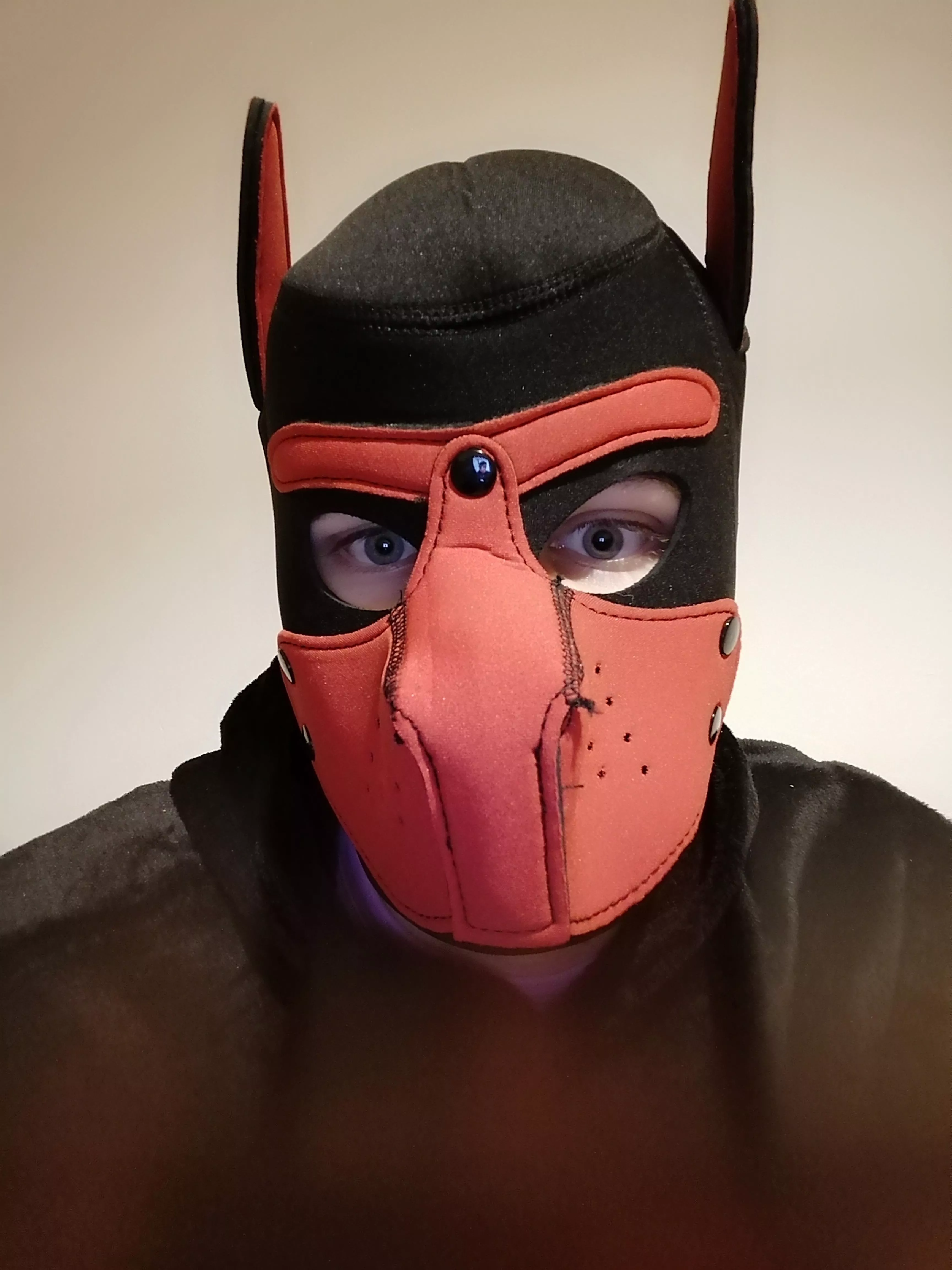 My first Puppy pic 🤭  posted by HonzaArlet