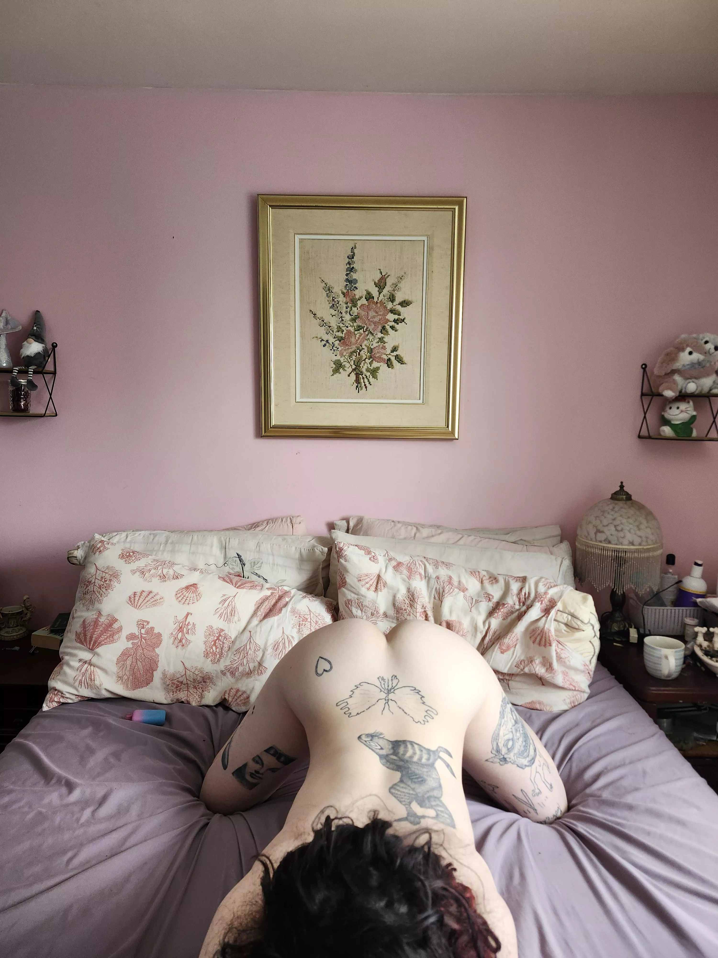 POV : im sucking you off while you get to look at my ass, youre welcome 🥰 posted by aliceistrashy