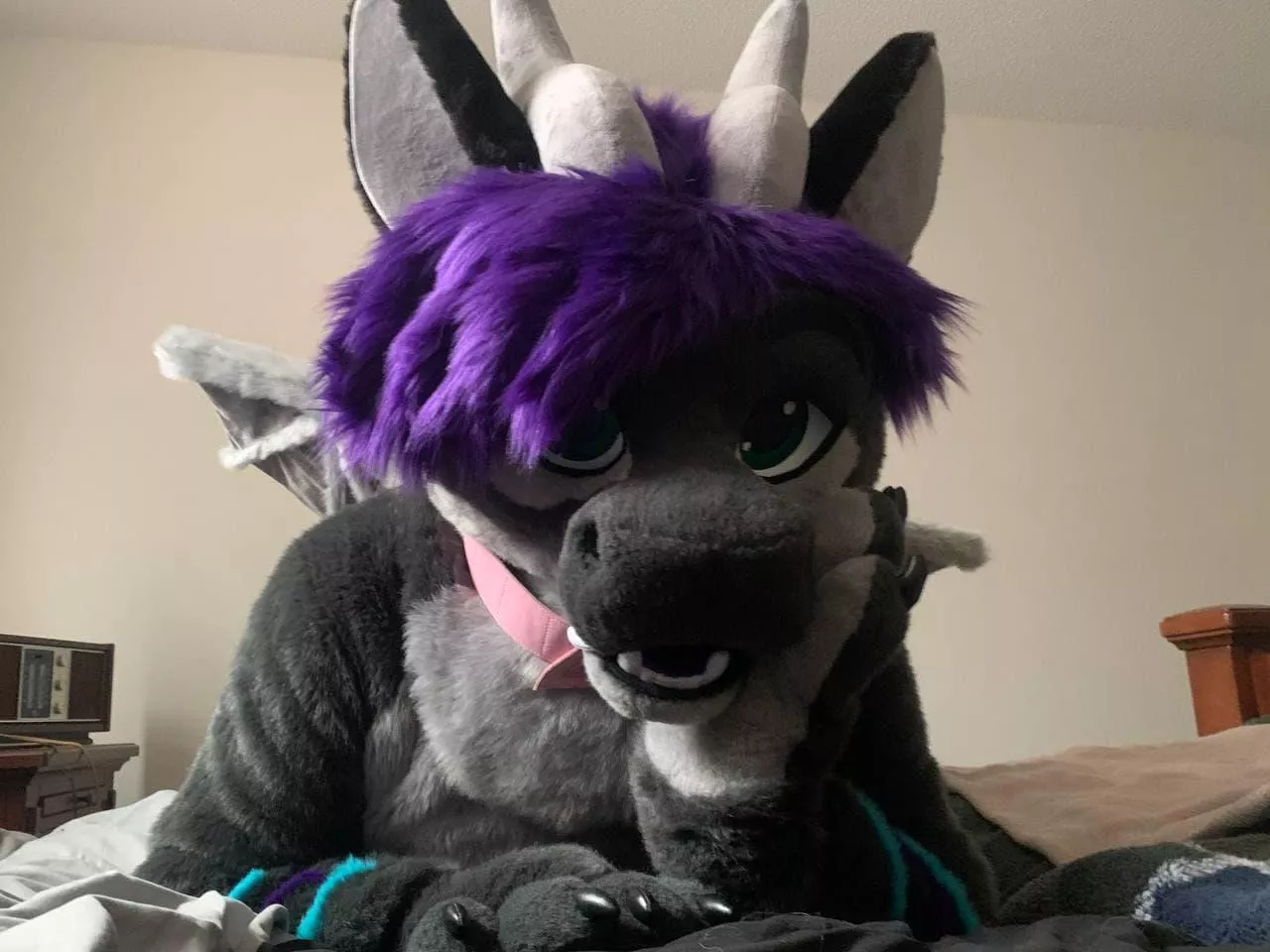 Readying myself for the next con. posted by SerenDuskflare