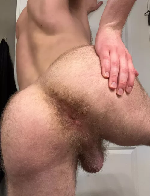 Should I shave it? by hiuser987651234