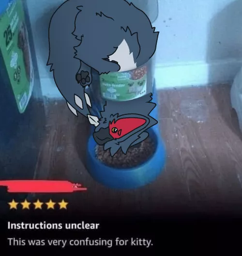 This was very confusing for the cuga.. (By @RuiOnRollers) by Used_Dimension1555