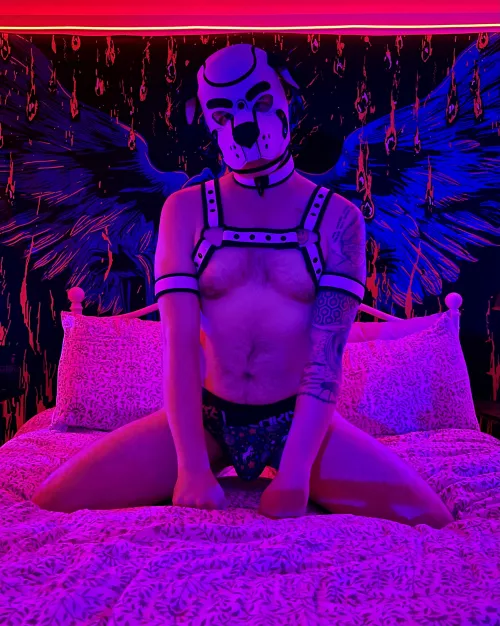 Took some wonderful photos I can’t wait to share.  by LoveAugustSky