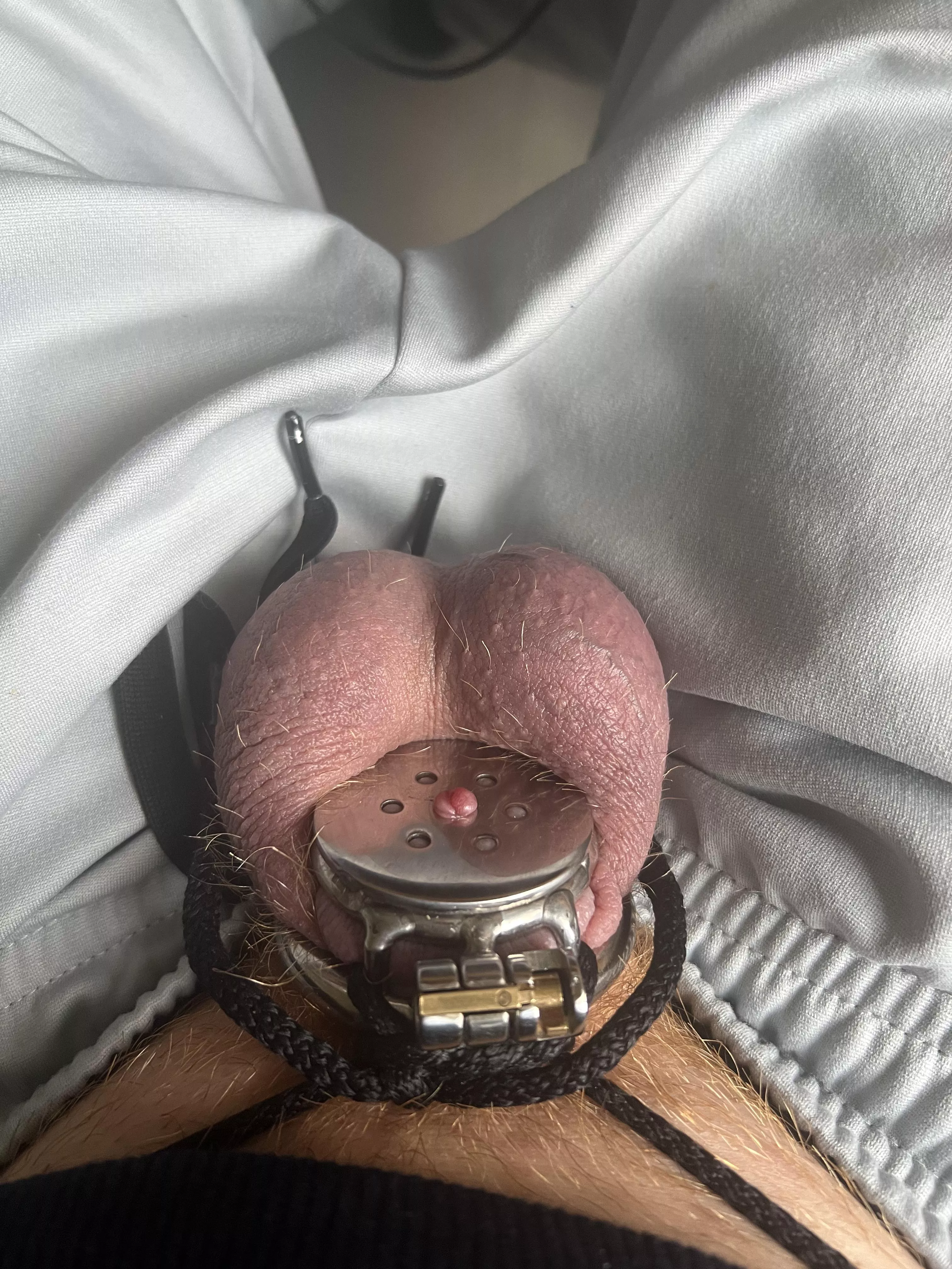 Used to be 8 inches but gf forced me into flat cage.. 🤏 posted by Lower-Nothing3294