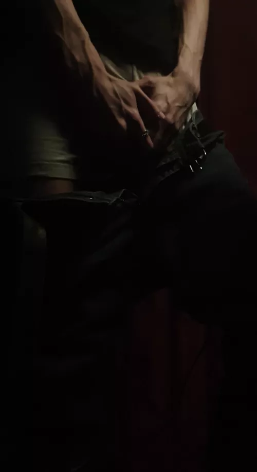 All covered up by Komainu1