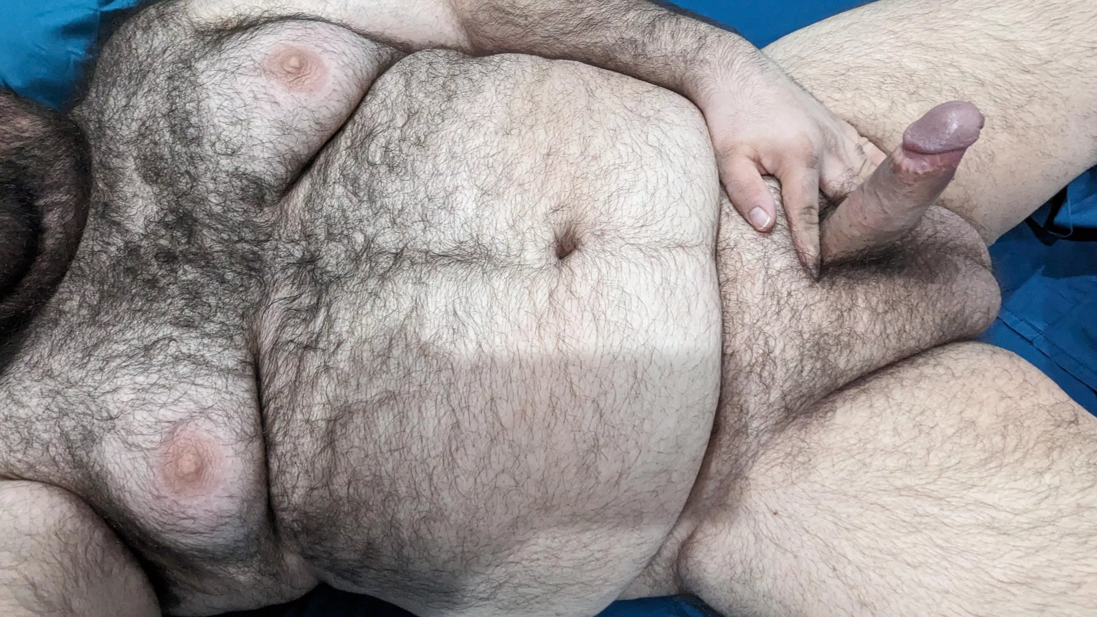 Breeding stud in need of breeding stock. posted by NakedMrGamer