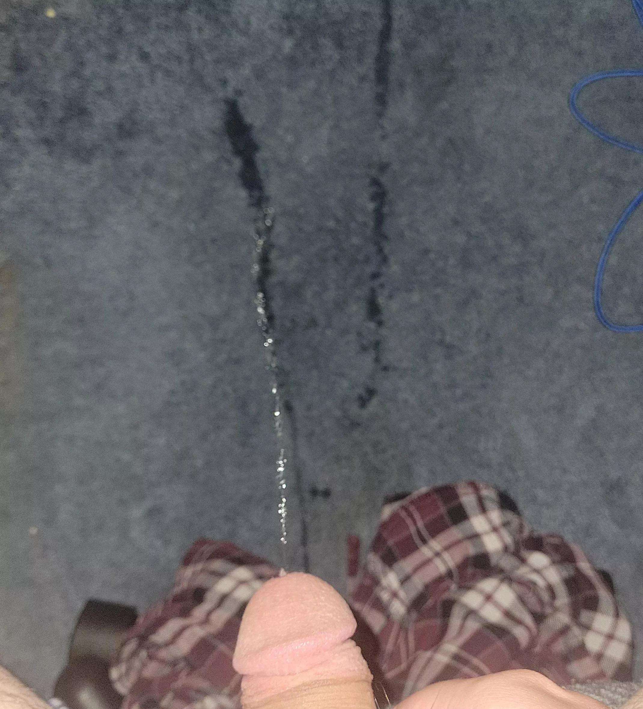 Carpet! Hmu:) posted by IaNeJJ23