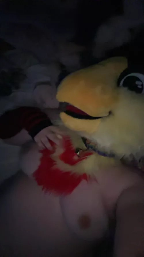 Come enjoy this pretty bird~ {she/he}  by Feelings-101