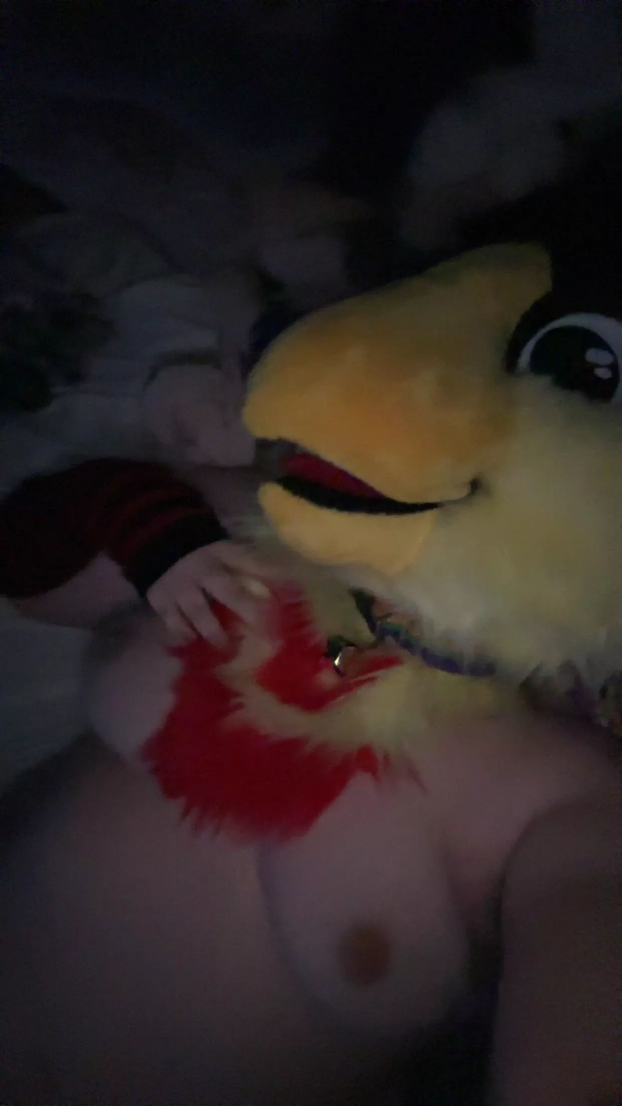 Come enjoy this pretty bird~ {she/he}  posted by Feelings-101