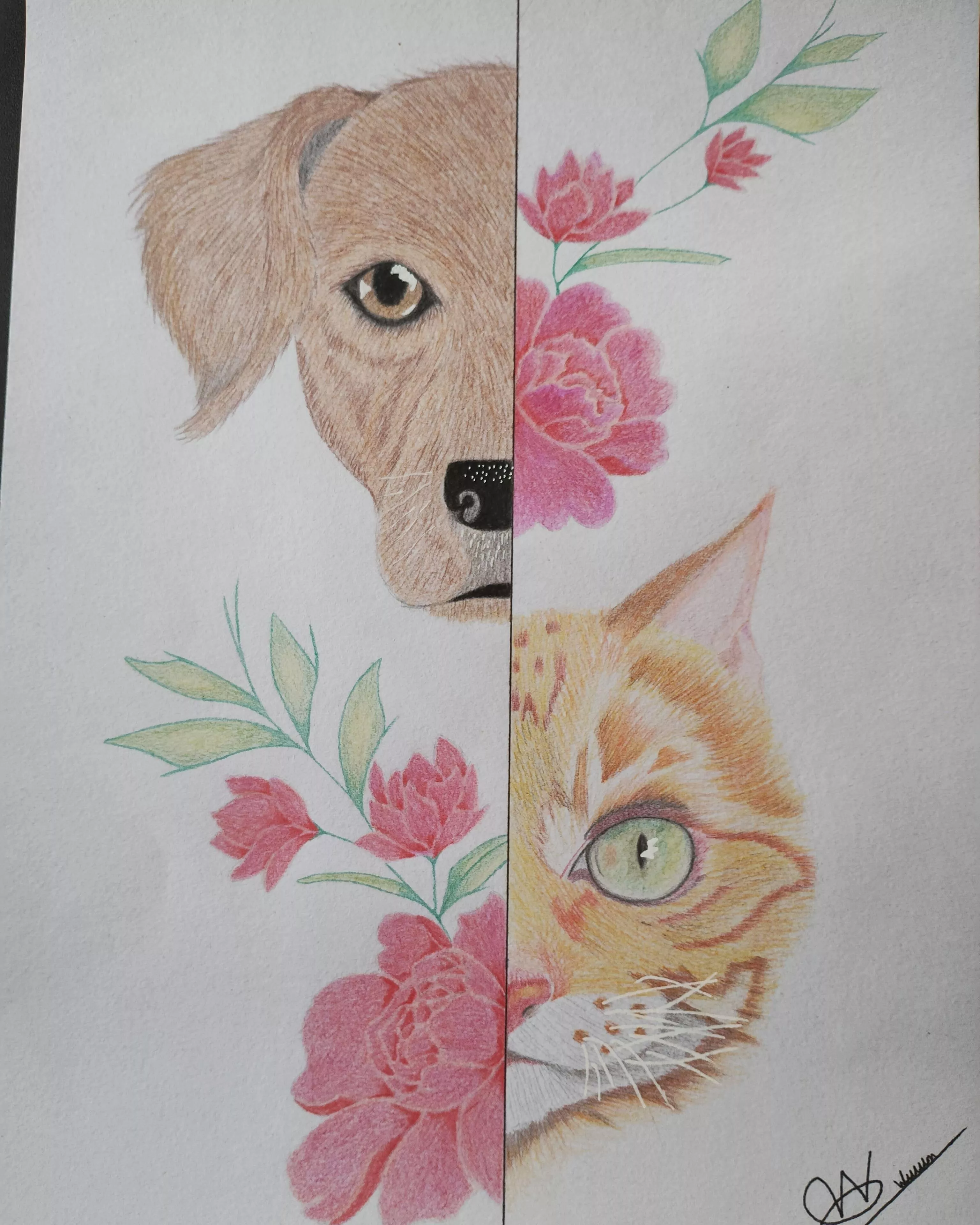 Dog,cat posted by Artistic_Appeal_3686