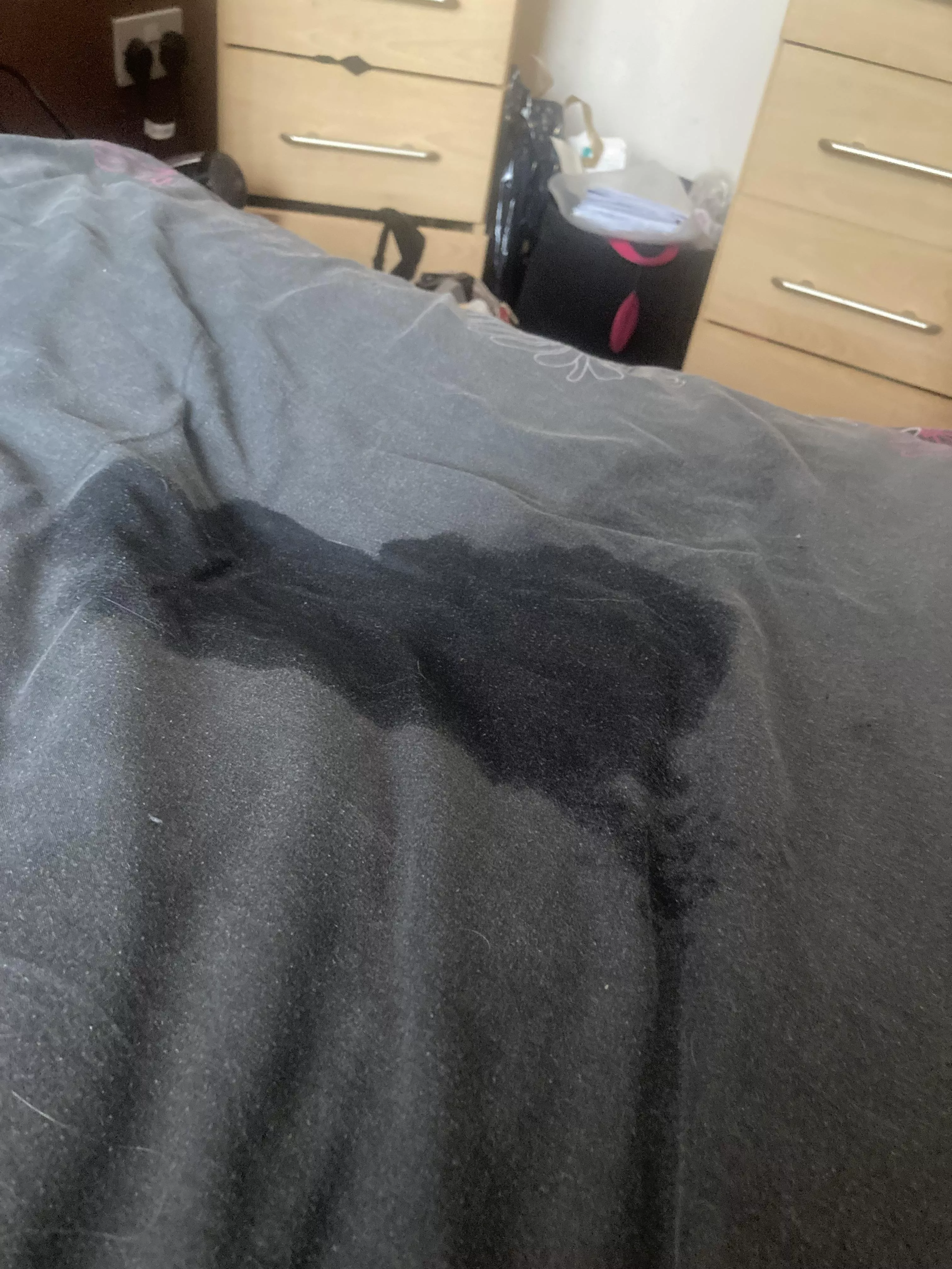 Free panties! posted by Fifetwo