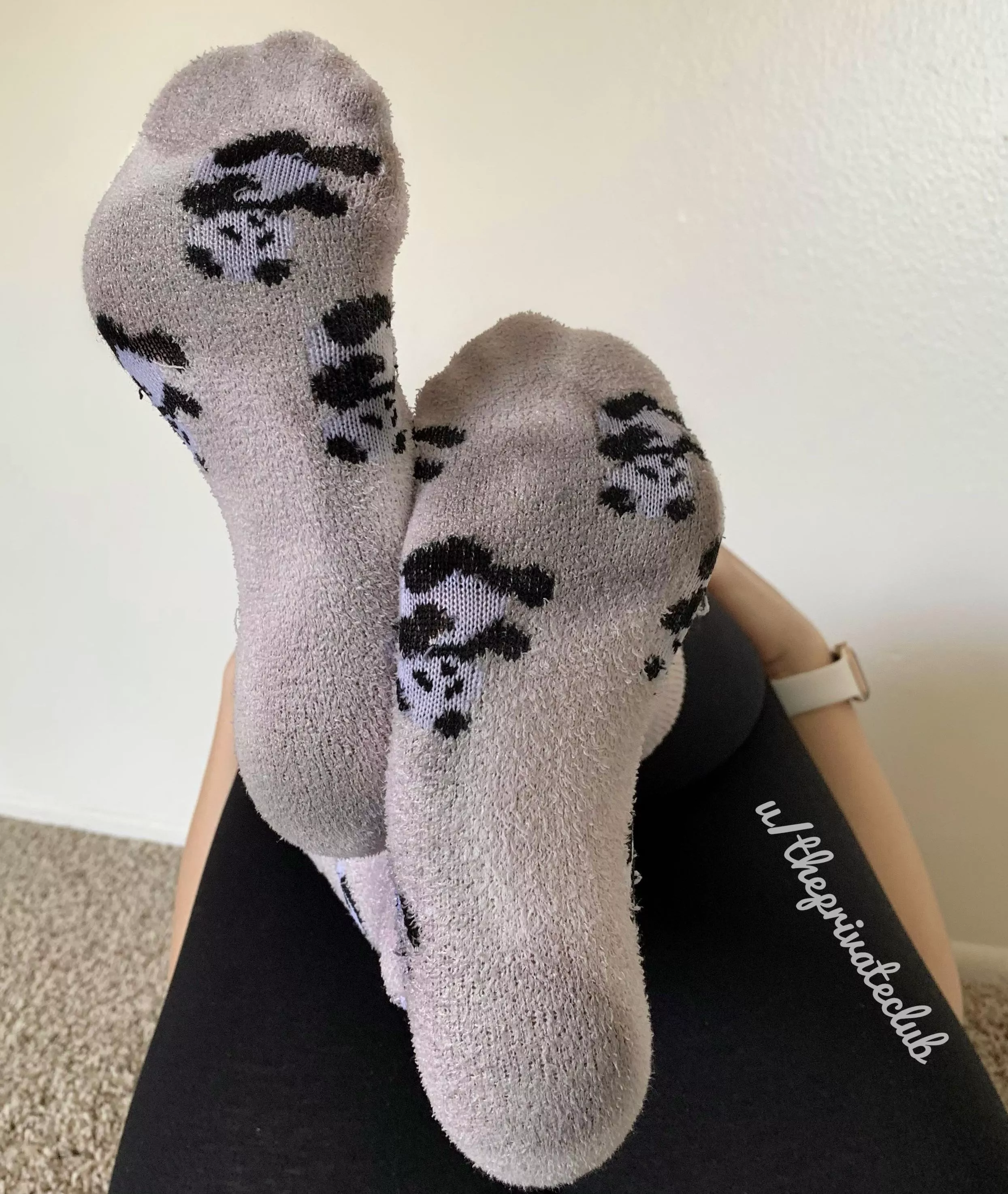 Fuzzy wuzzy was a bear, how soft and smelly was his hair! posted by ThePrivateClub