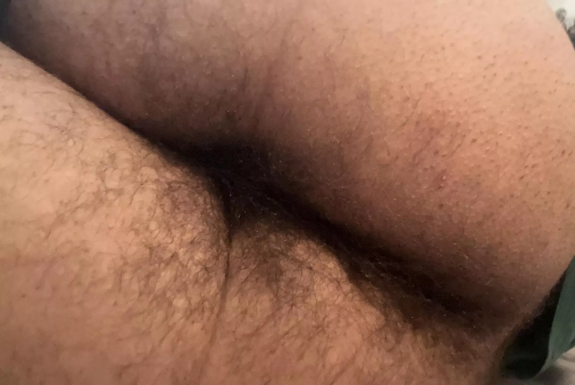 Hairy brown booty posted by PerspectiveWorth7869